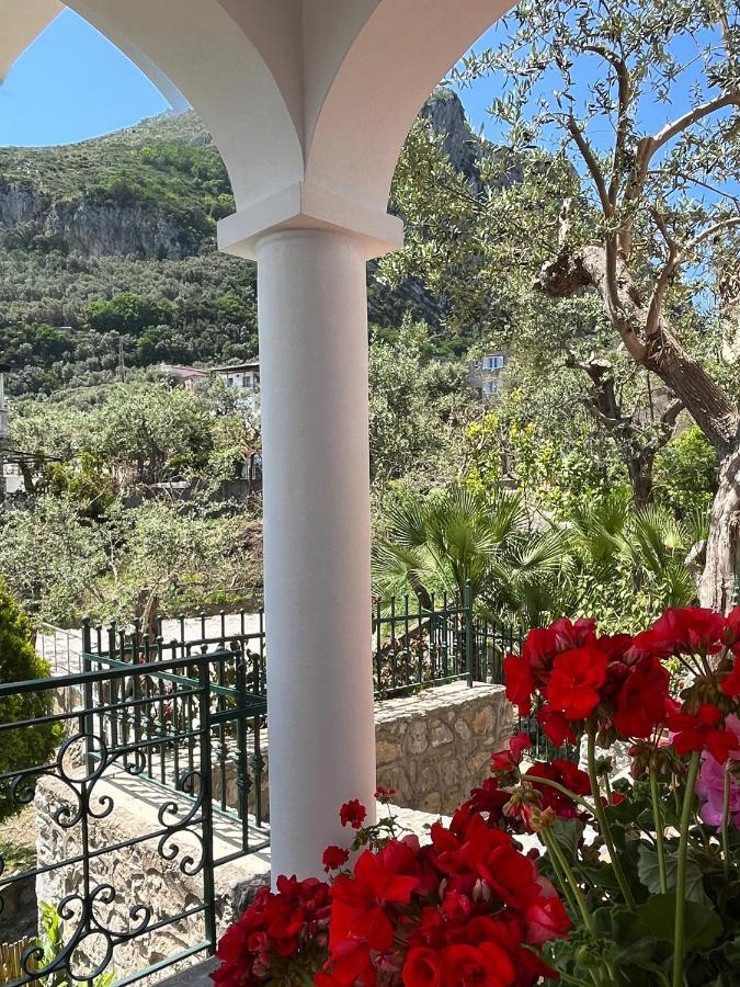 Villa Olimpia Nerano Dış mekan fotoğraf