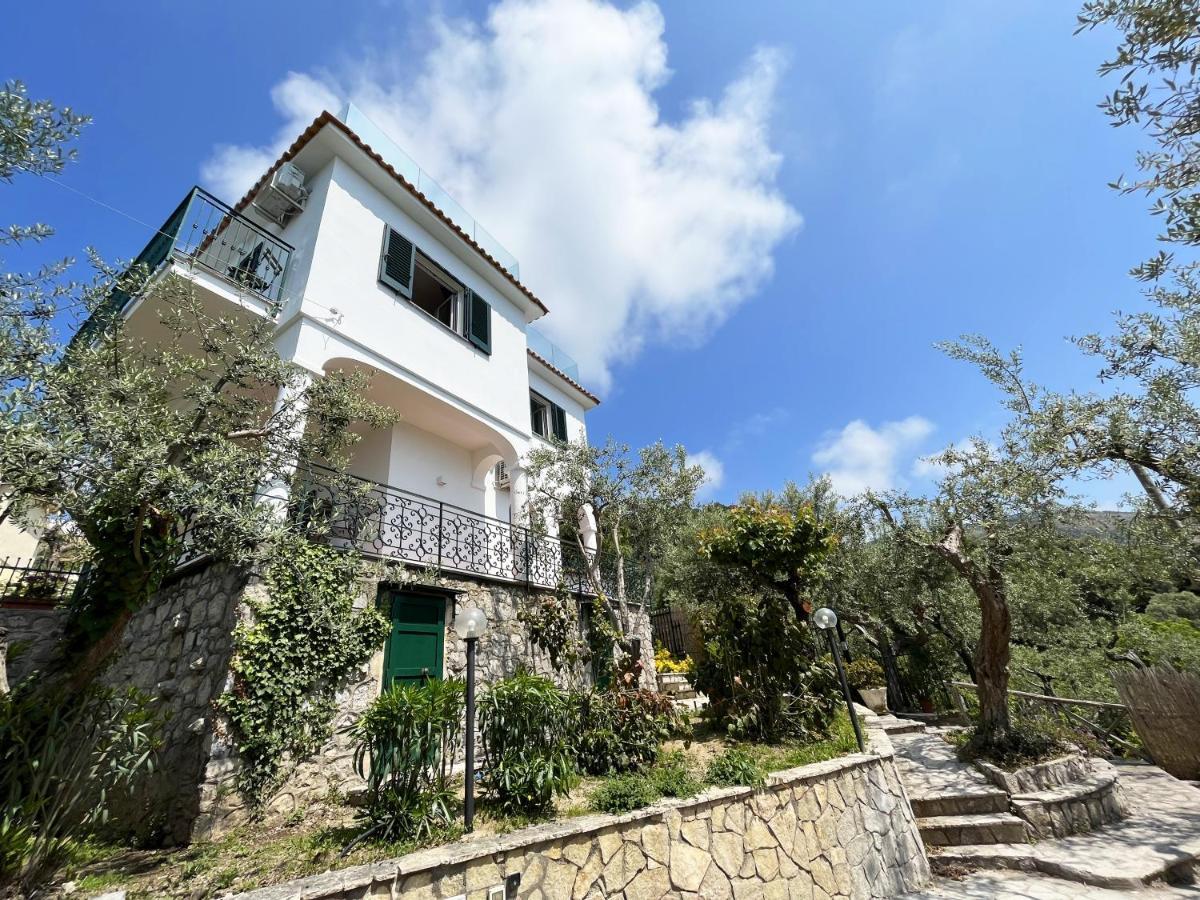 Villa Olimpia Nerano Dış mekan fotoğraf